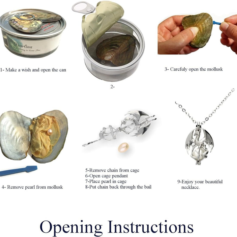 Wish Pearl Necklace Kit Innovative