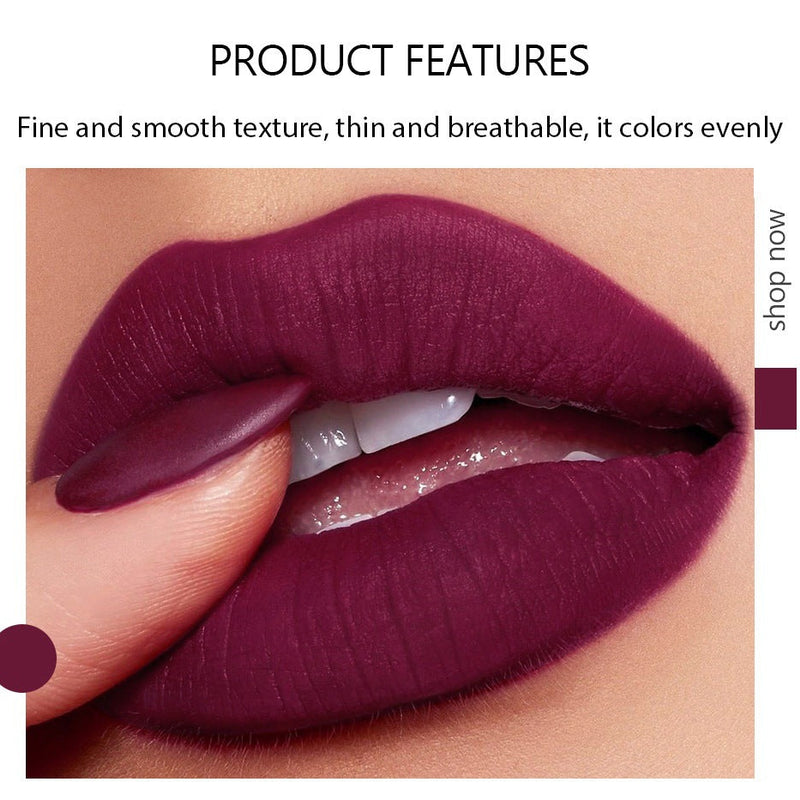 5 In 1 Matte Lipstick Kit Waterproof-Shade-01