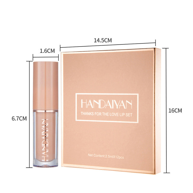 Handaiyan 12 Color Matte Liquid Lipstick